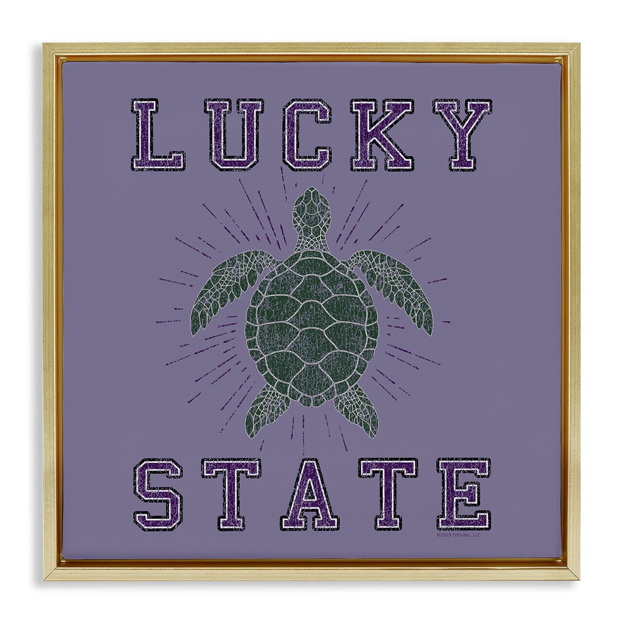 Stupell Industries Lucky Sea Turtle State Framed Floater Canvas Wall Art Design by Spirit Animals/Life Is High